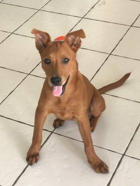 Reserved For Tami (200 pair)